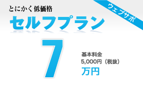 とにかく低価格 セルフプラン10万円