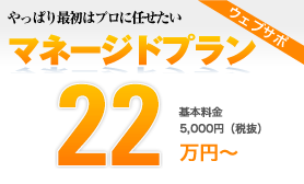 やっぱり最初はプロに任せたい マネージドプラン25万円
