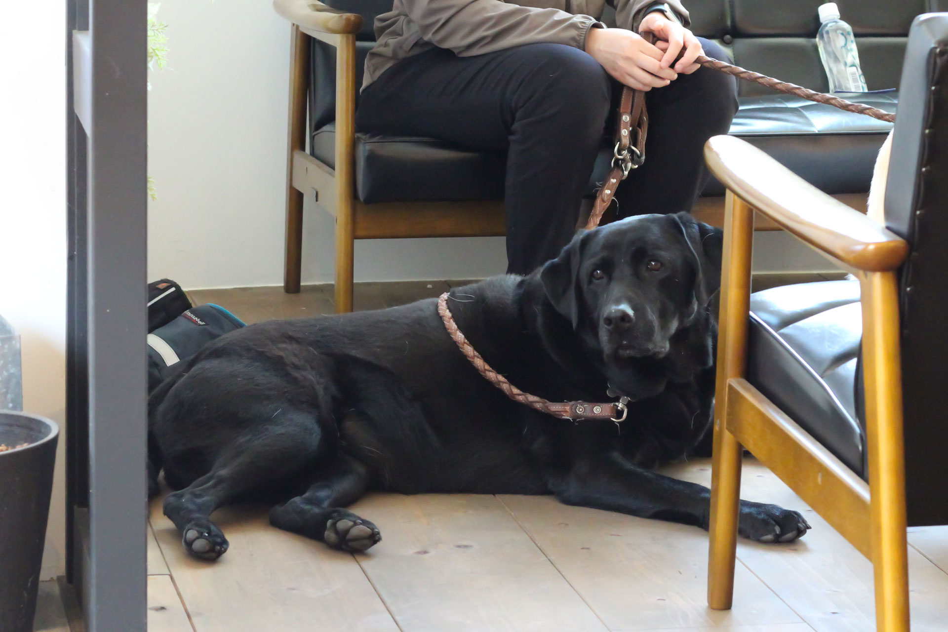 取材に応じてくれたエマちゃん