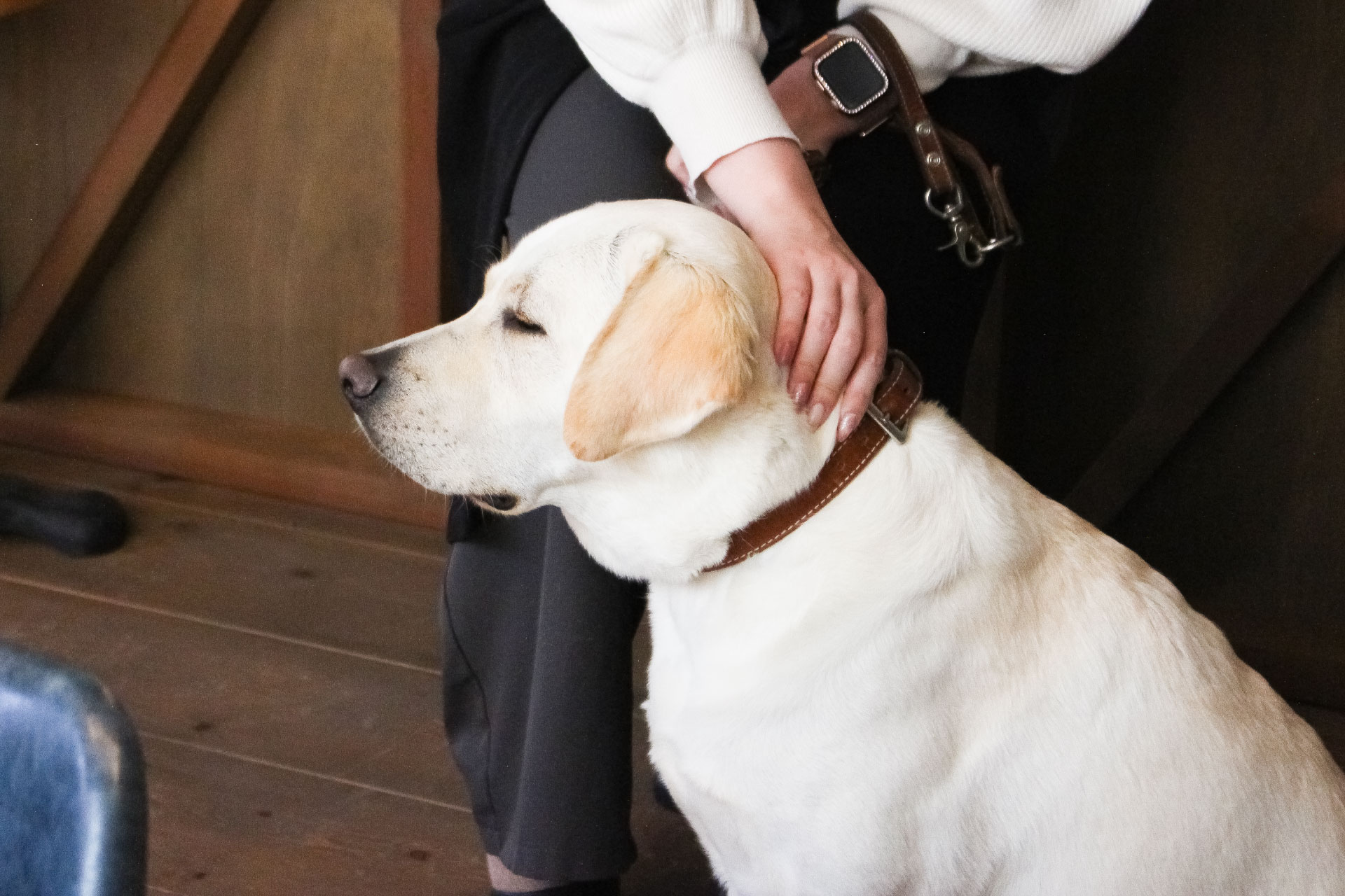 取材に応じてくれたルイくん