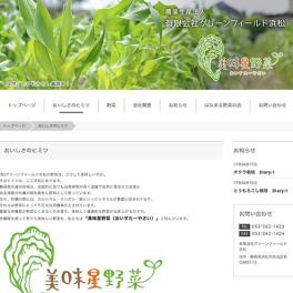 トウモロコシ・ブロッコリー・おくらの野菜生産販売をされている事業者様がライトプランでお作りになられました。